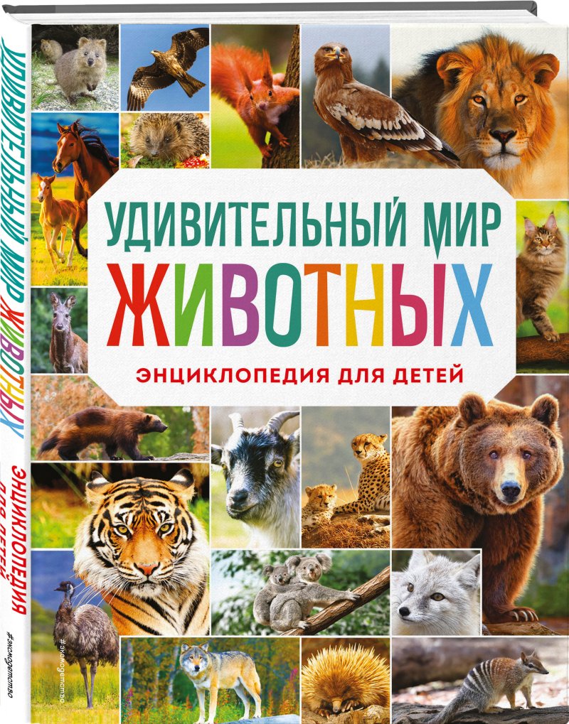 Удивительный мир животных: Энциклопедия для детей