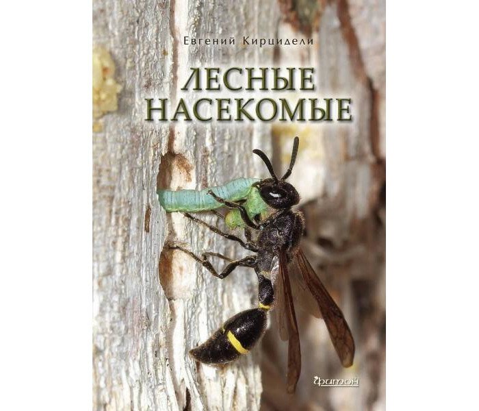 Энциклопедии Издательство Фитон+ Лесные насекомые