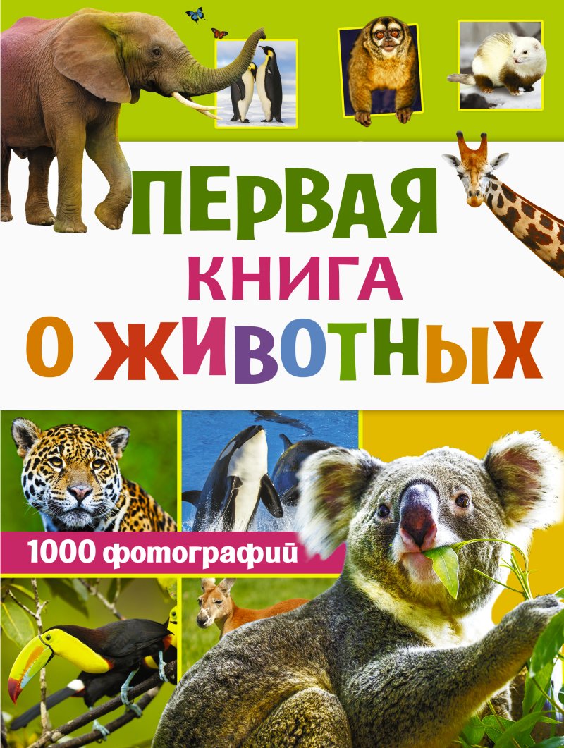 Вайткене Любовь Дмитриевна Первая книга о животных. 1000 фотографий