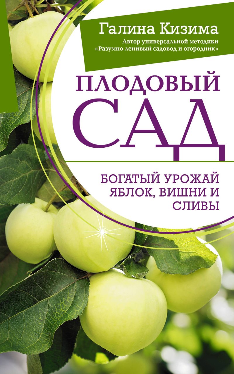 Галина Александровна Кизима Плодовый сад. Богатый урожай яблок, вишни и сливы