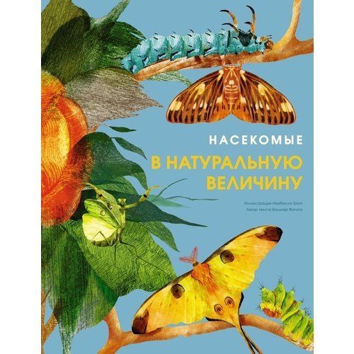 Вальтер Фогато. Насекомые в натуральную величину