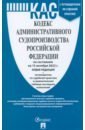 Кодекс административного судопроизводства Российской Федерации по состоянию на 15 октября 2022 г.