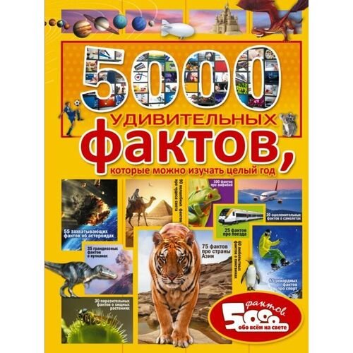 Анна Артуровна Спектор. 5000 удивительных фактов, которые можно изучать целый год