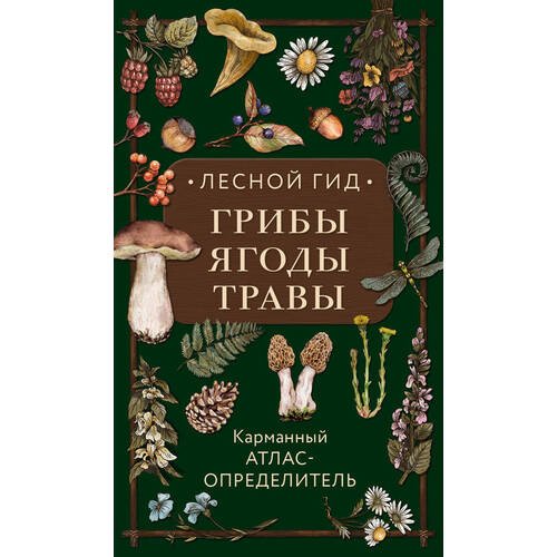 Людмила Семенова. Лесной гид: грибы, ягоды, травы