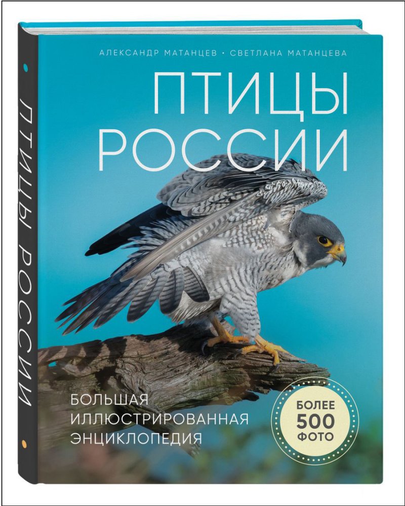 Птицы России: Большая иллюстрированная энциклопедия